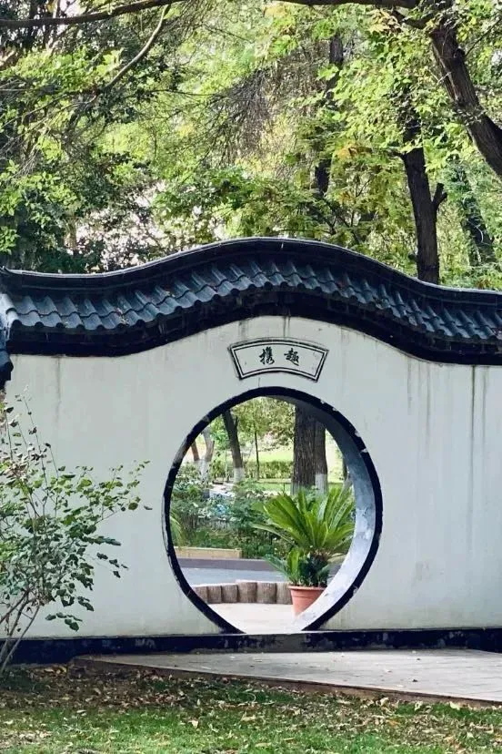 哪里有针对业余爱好者的篮球训练策略_2